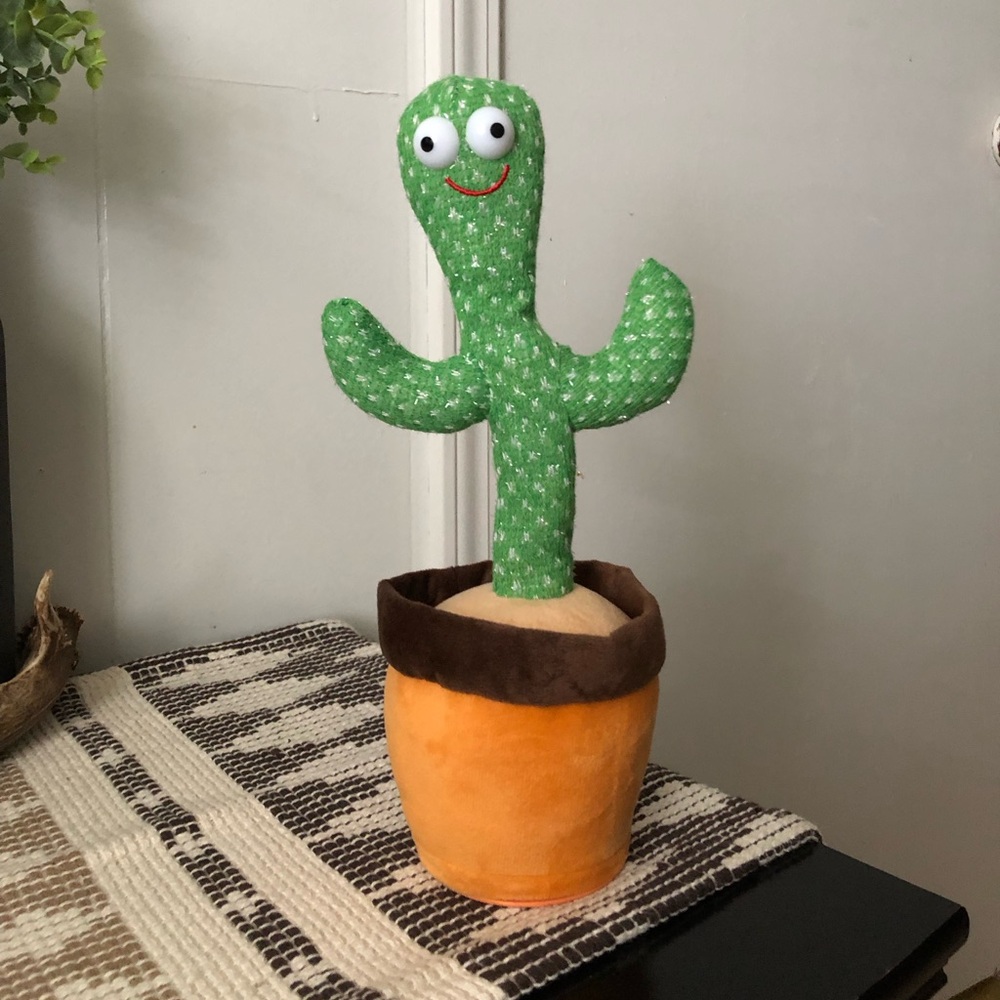 Talking Cactus